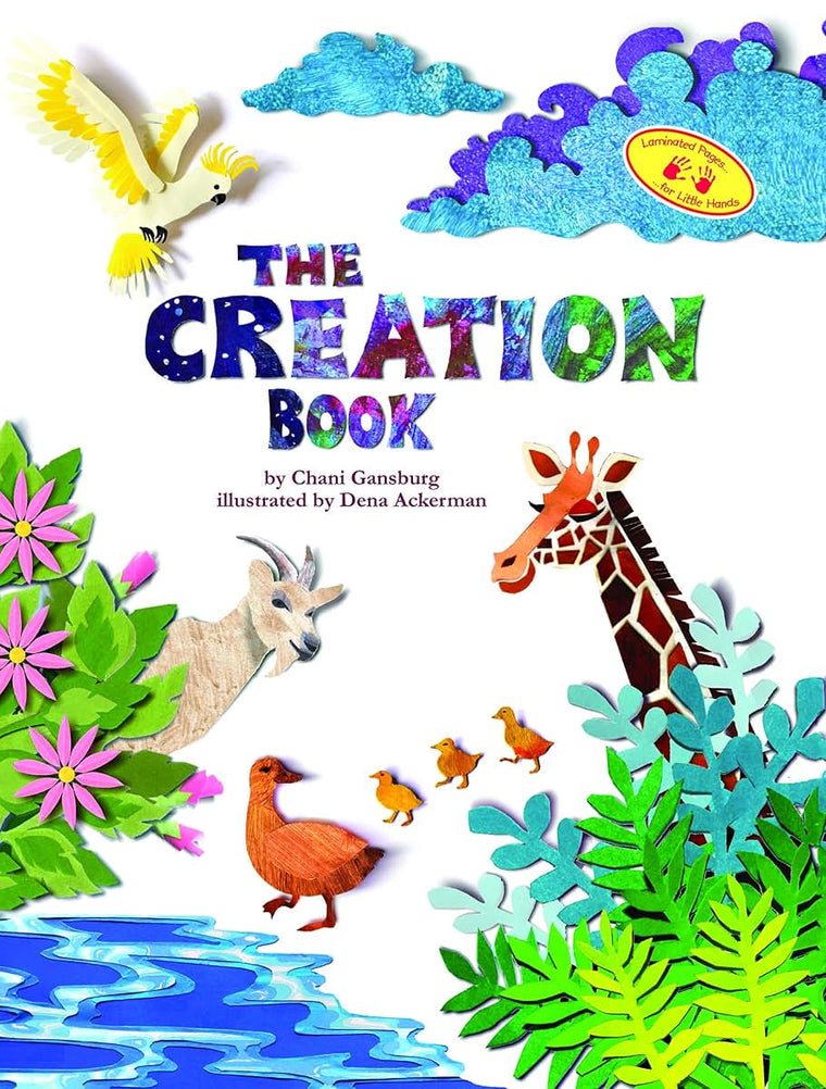 The Creation Book