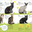 The Everything Book of Cats and Kittens (Everything About Pe