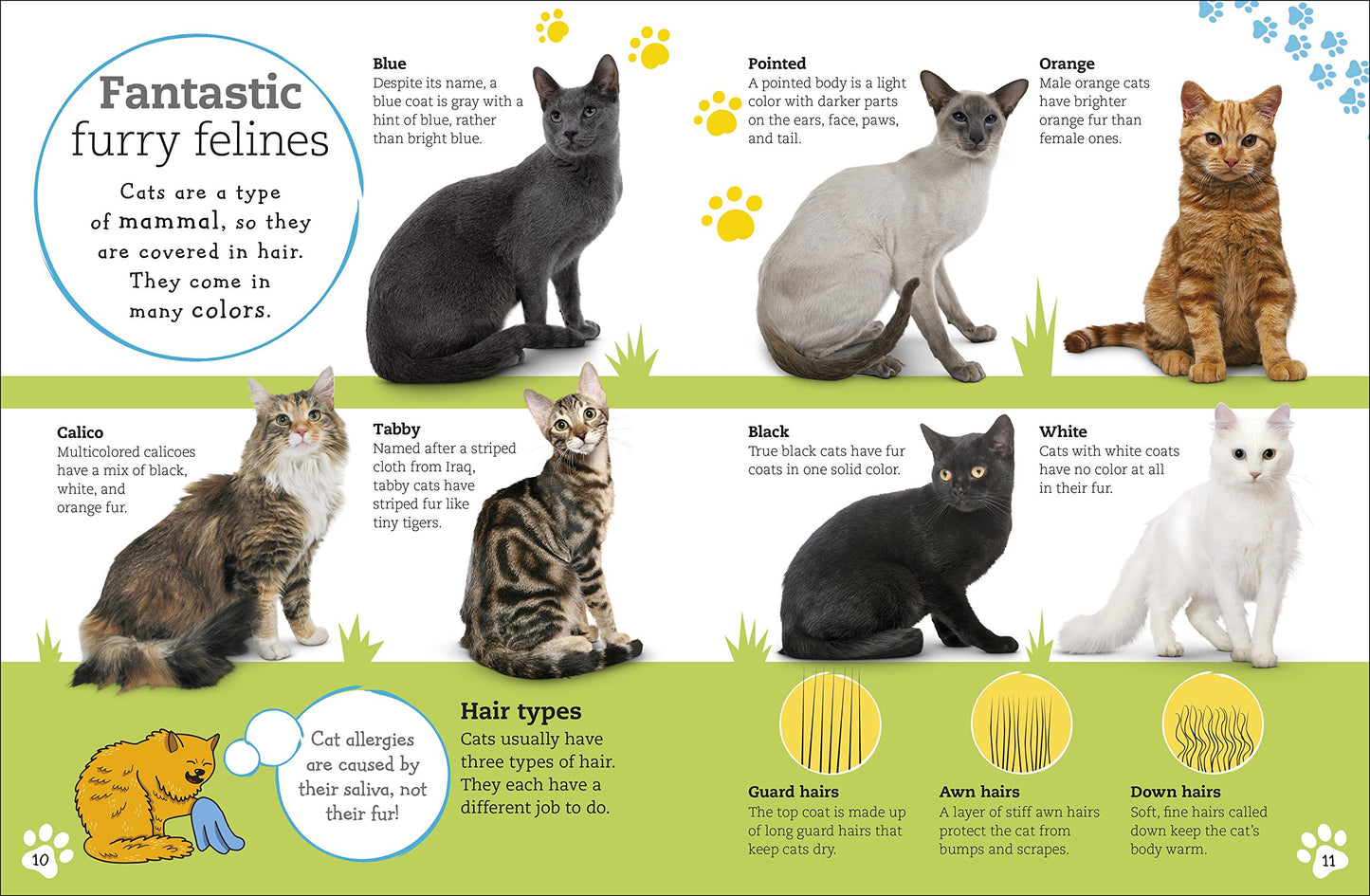 The Everything Book of Cats and Kittens (Everything About Pe