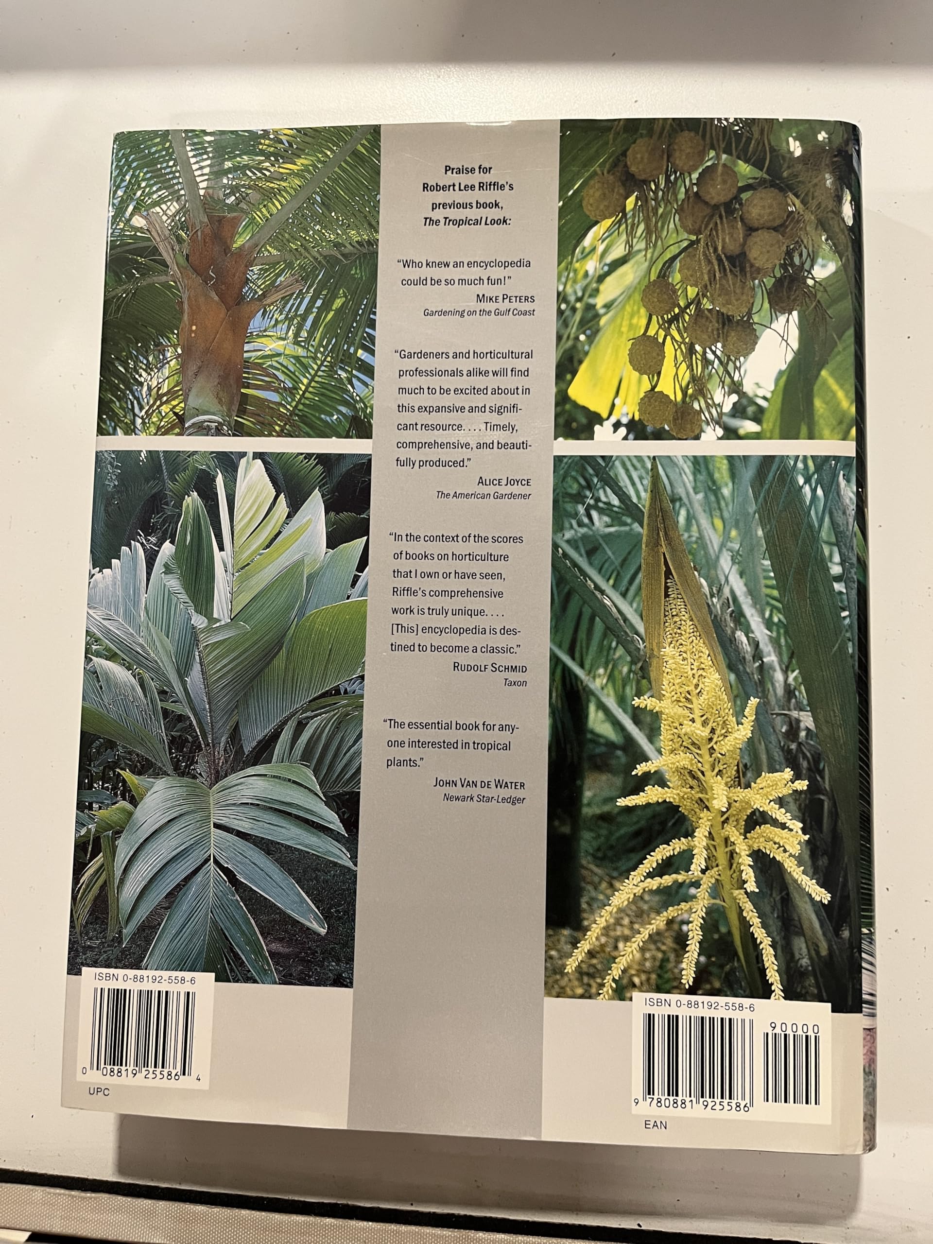 An Encyclopedia of Cultivated Palms
