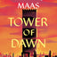 Tower of Dawn (Throne of Glass, 6)