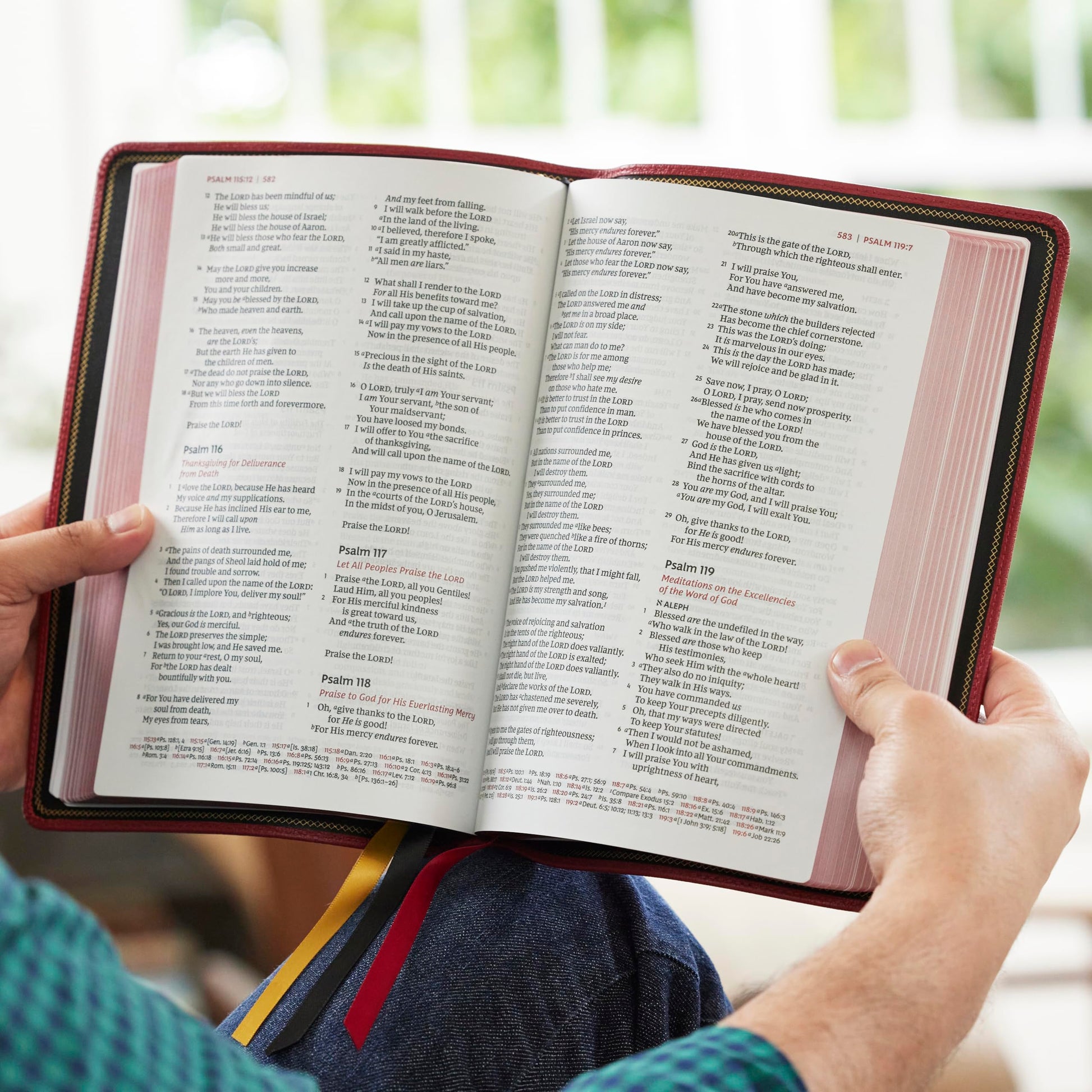 NKJV, Thinline Reference Bible, Large Print, Red Premium Goatskin Leather, Premier Collection, Comfort Print: Holy Bible, New King James Version