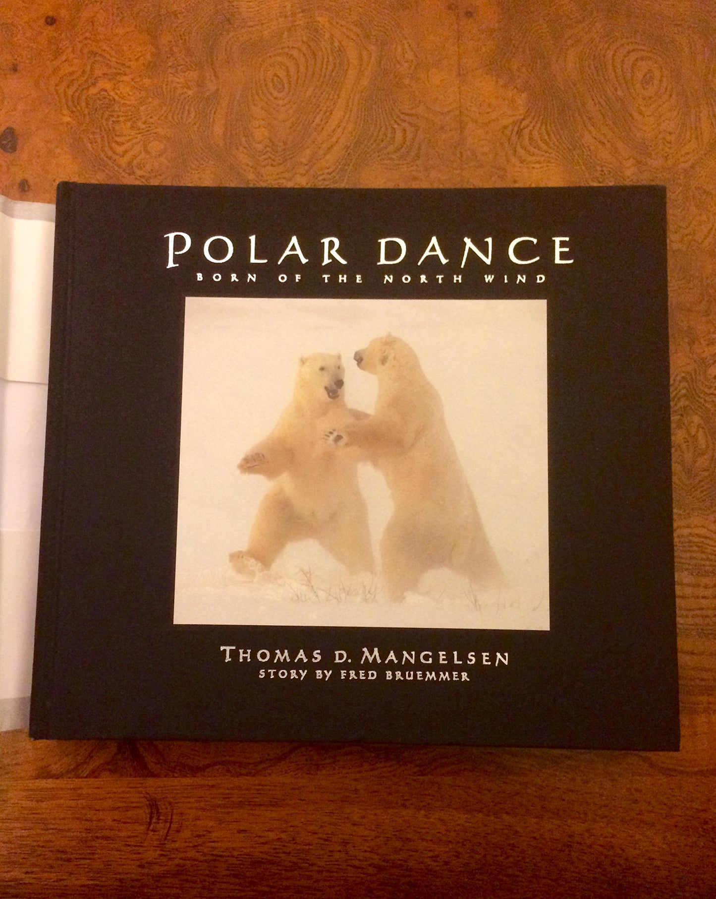 Polar Dance: Born of the North Wind