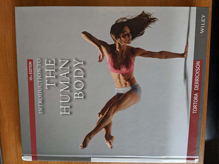Introduction to the Human Body