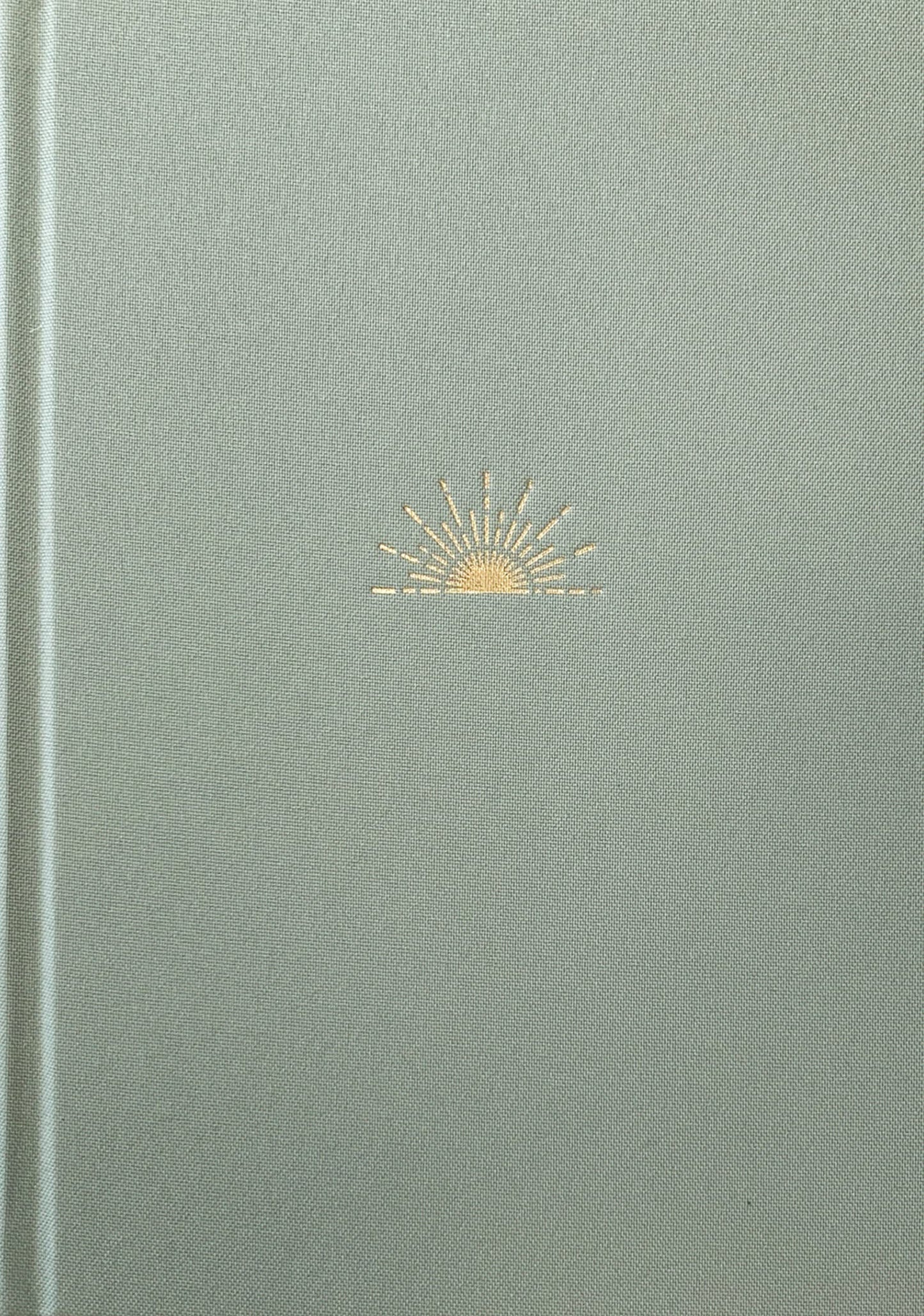 NLT DaySpring Hope & Encouragement Bible (Hardcover Deluxe, Seafoam Green)