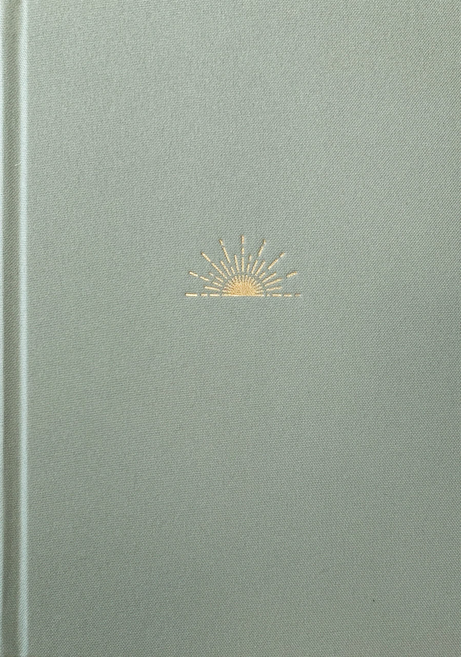 NLT DaySpring Hope & Encouragement Bible (Hardcover Deluxe, Seafoam Green)