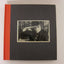 The Bob Dylan Scrapbook, 1956-1966