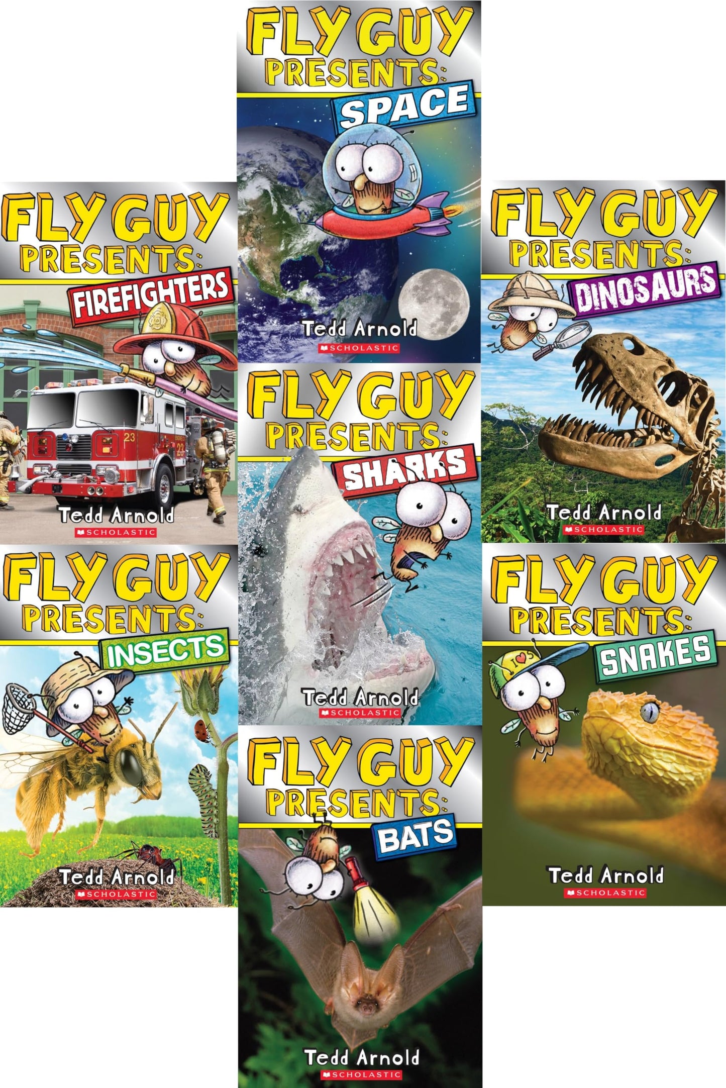 Fly Guy Presents Collection 7 Book Set