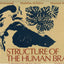 Structure of the Human Brain: A Photographic Atlas by DeArmo