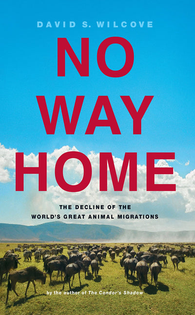 No Way Home: The Decline of the World's Great Animal Migrations