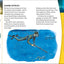 DK Super Readers Level 4 Shark Attack