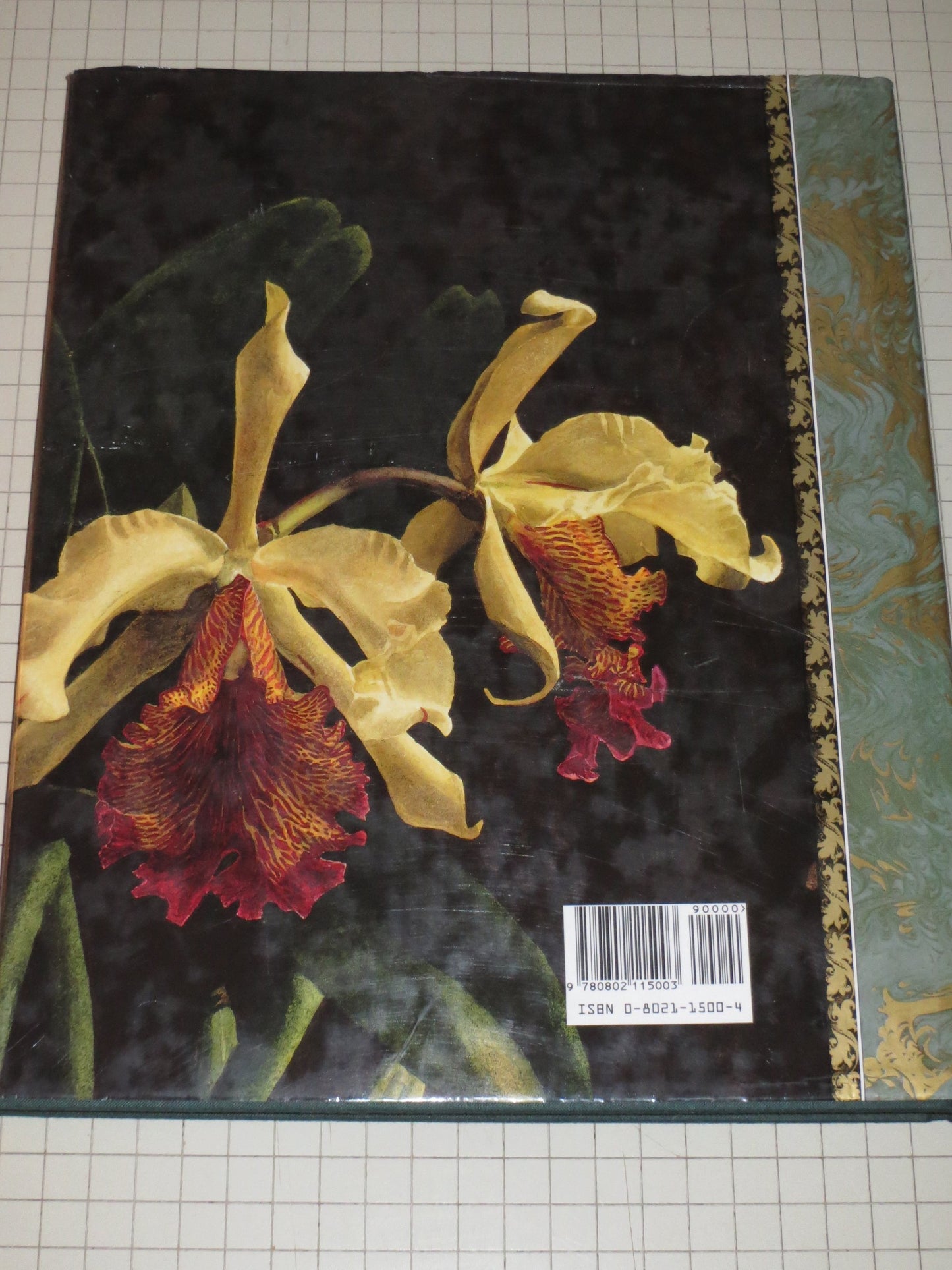 The Forgotten Orchids of Alexandre Brun