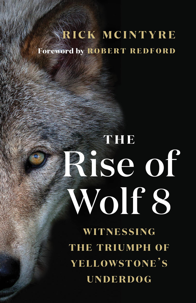 The Rise of Wolf 8: Witnessing the Triumph of Yellowstone's Underdog (The Alpha Wolves of Yellowstone, 1)