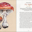 Mystical Mushrooms: Discover the Magic & Folklore of Fantastic Fungi