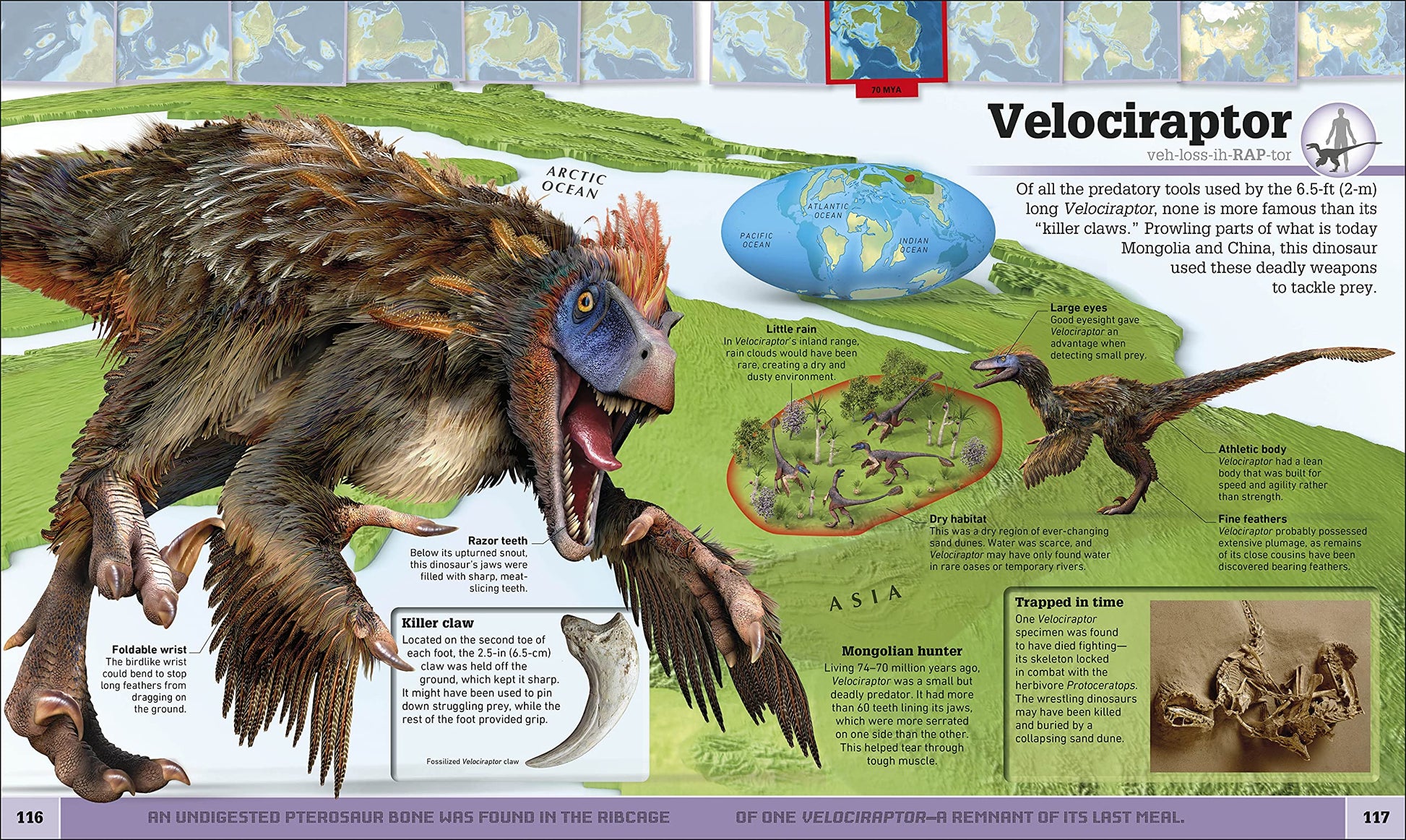 Dinosaur and Other Prehistoric Creatures Atlas: The Prehistoric World as You've Never Seen It Before (DK Where on Earth? Atlases)