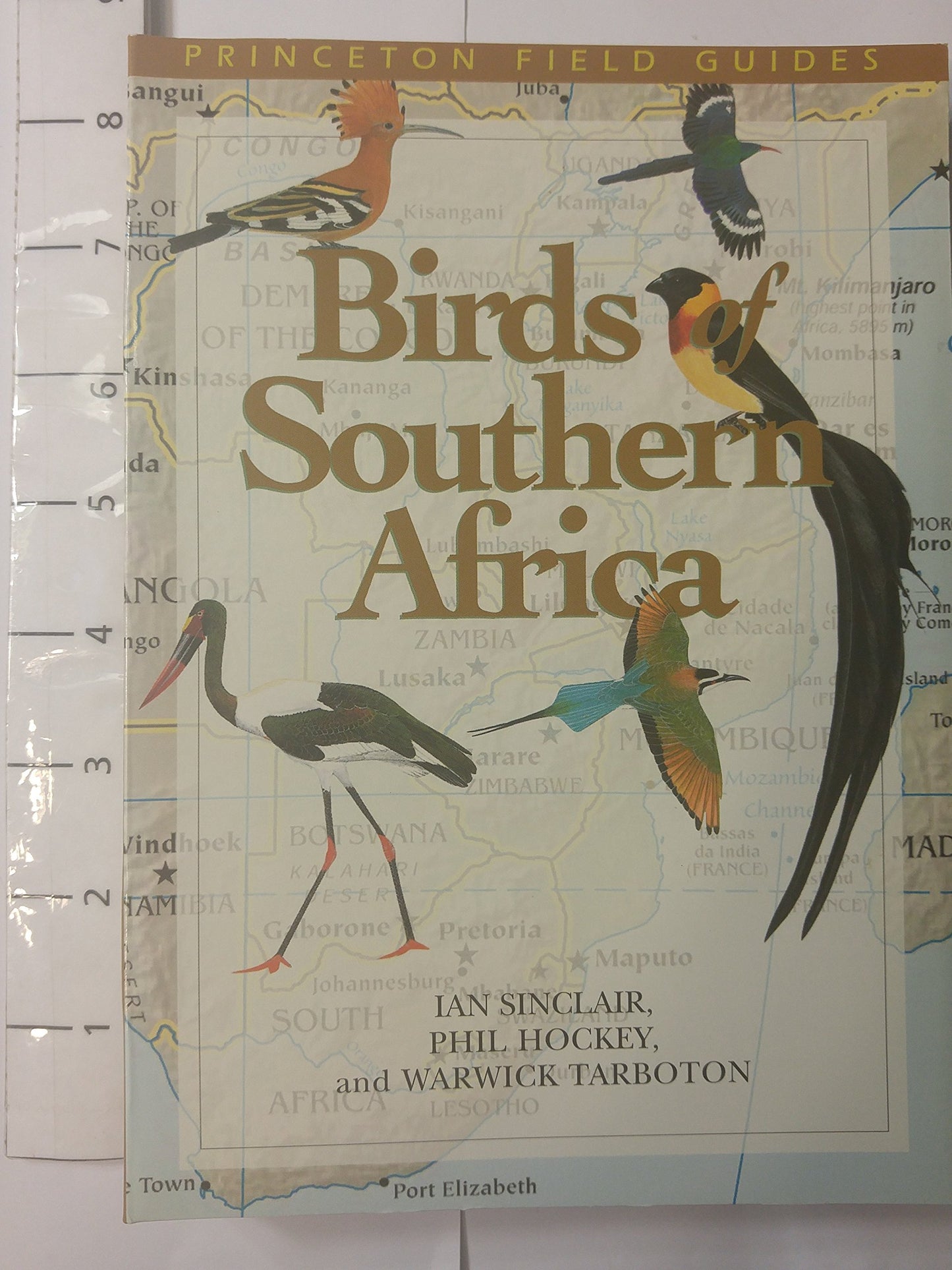 Birds of Southern Africa (Princeton Field Guides, 21)