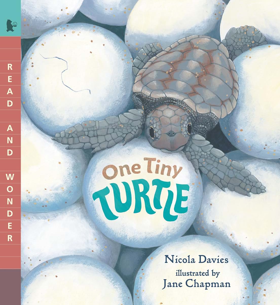One Tiny Turtle (Read and Wonder)