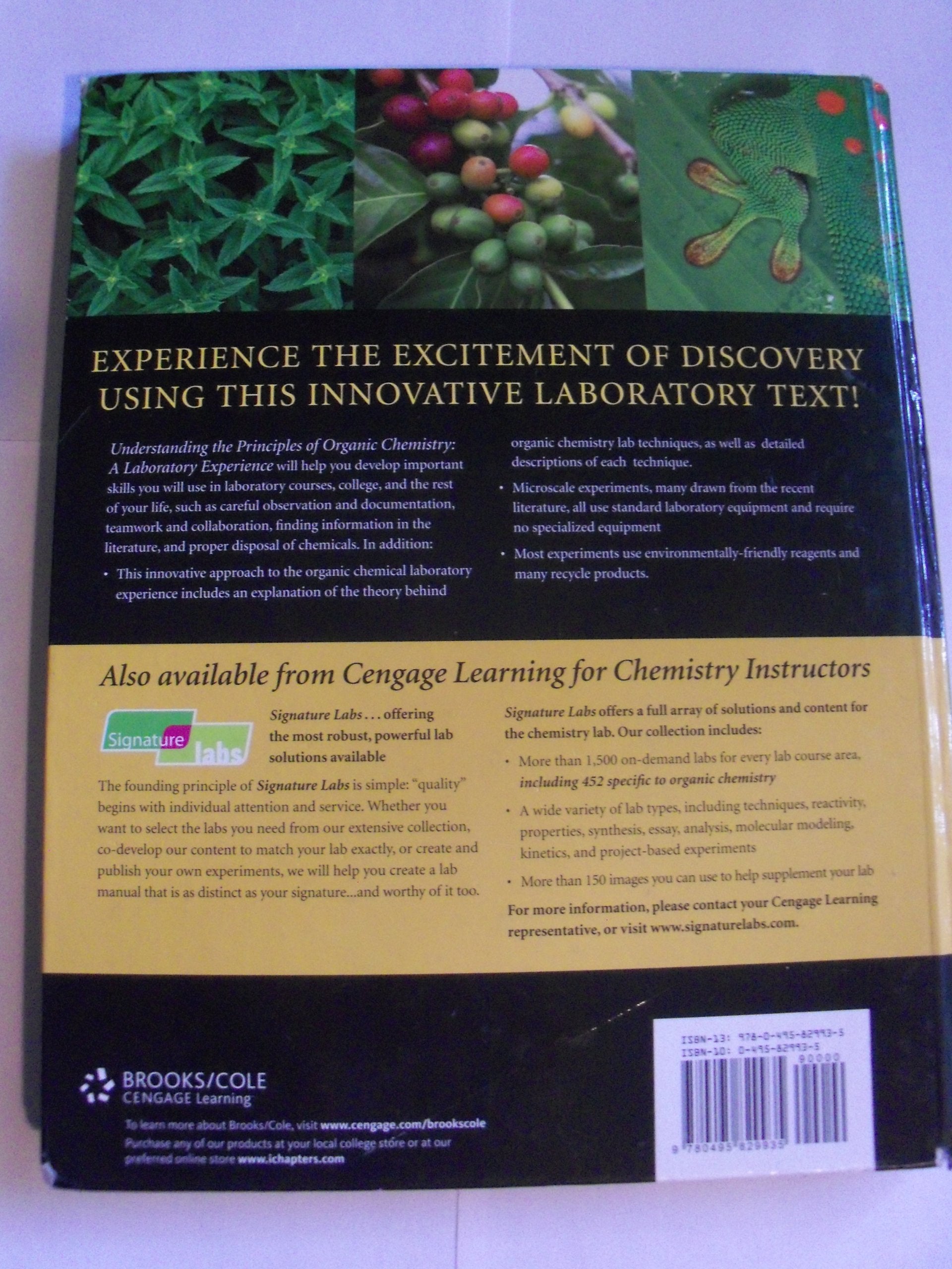 Understanding the Principles of Organic Chemistry: A Laboratory Experience