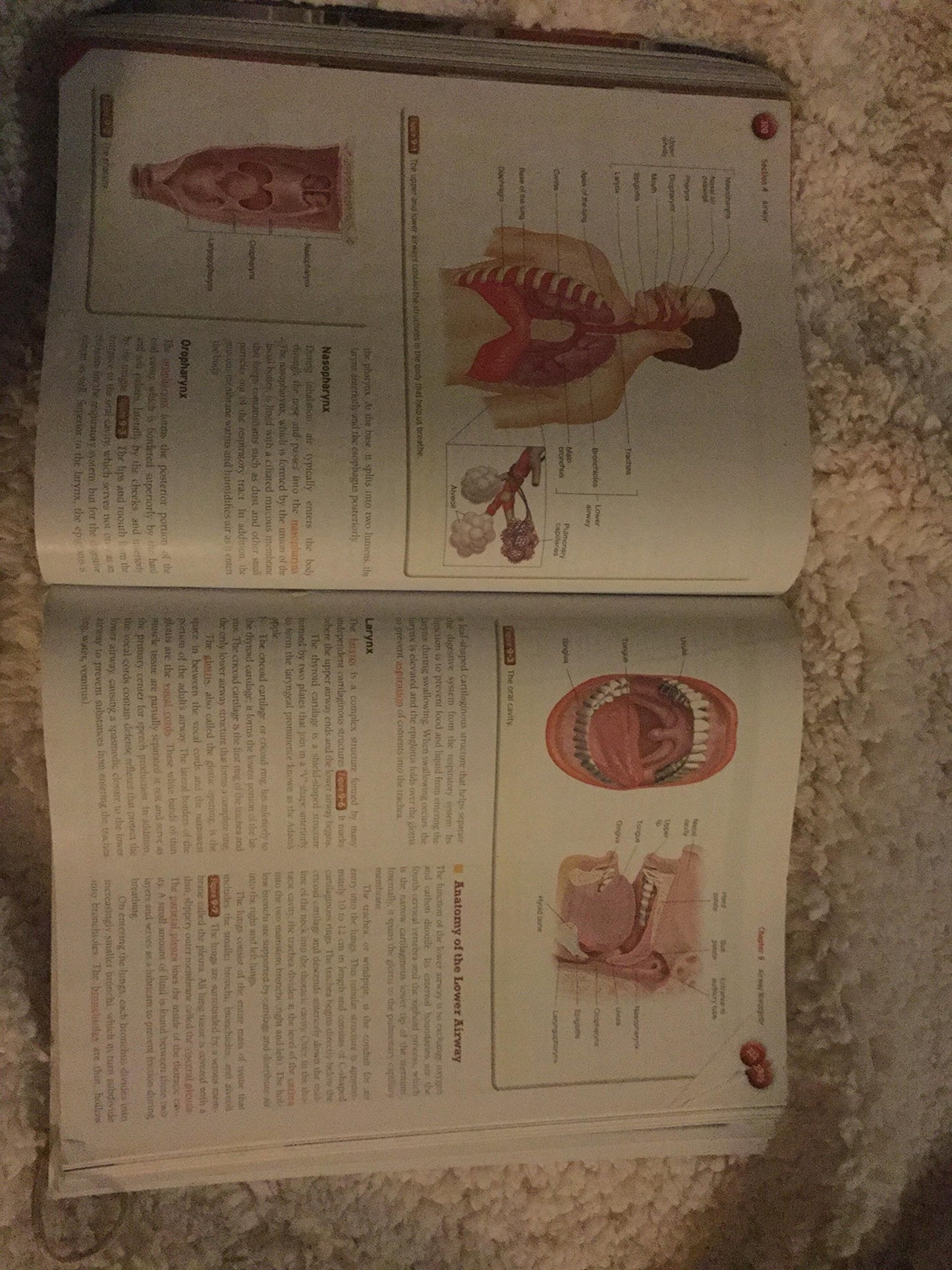 Student Workbook for Emergency Care and Transportation of the Sick and Injured, Tenth Edition
