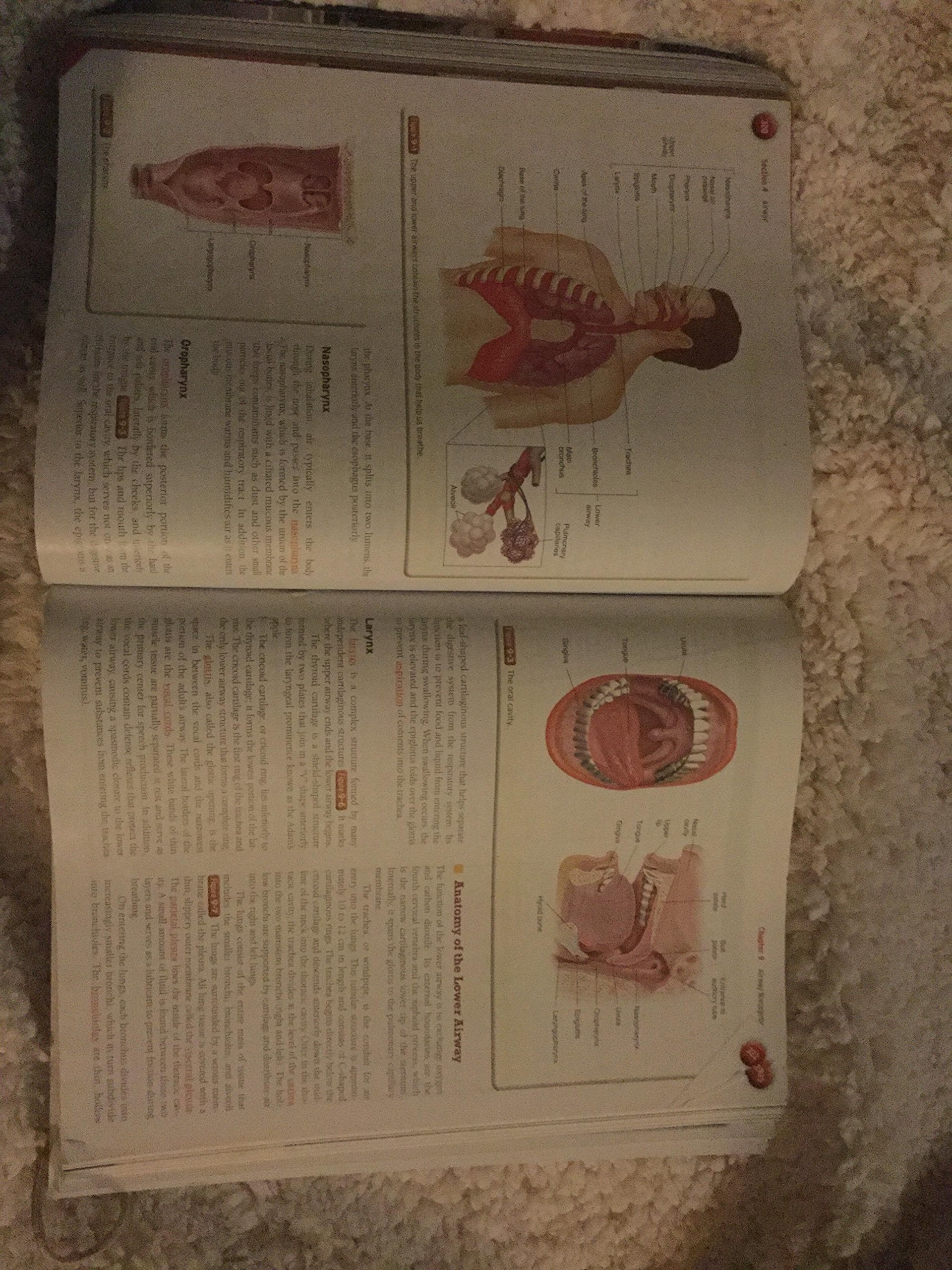 Student Workbook for Emergency Care and Transportation of the Sick and Injured, Tenth Edition