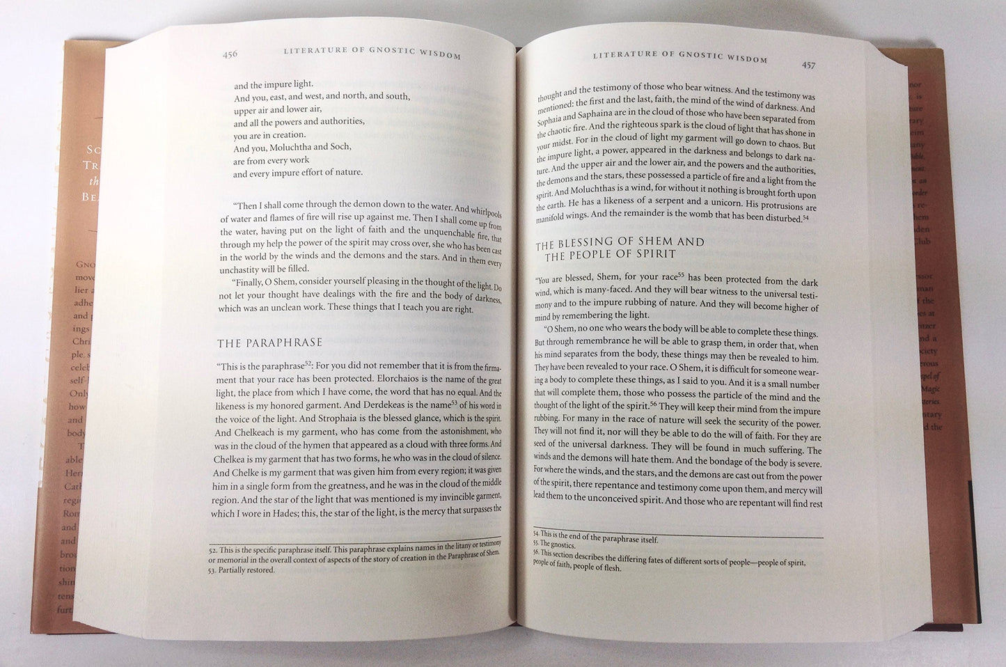 The Gnostic Bible: Gnostic Texts of Mystical Wisdom from the