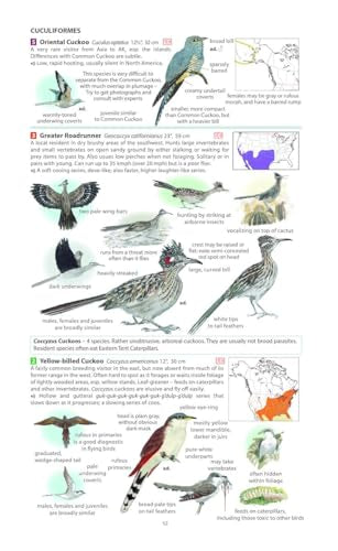 Field Guide to the Birds of North America
