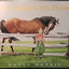 Everything but the Horse
