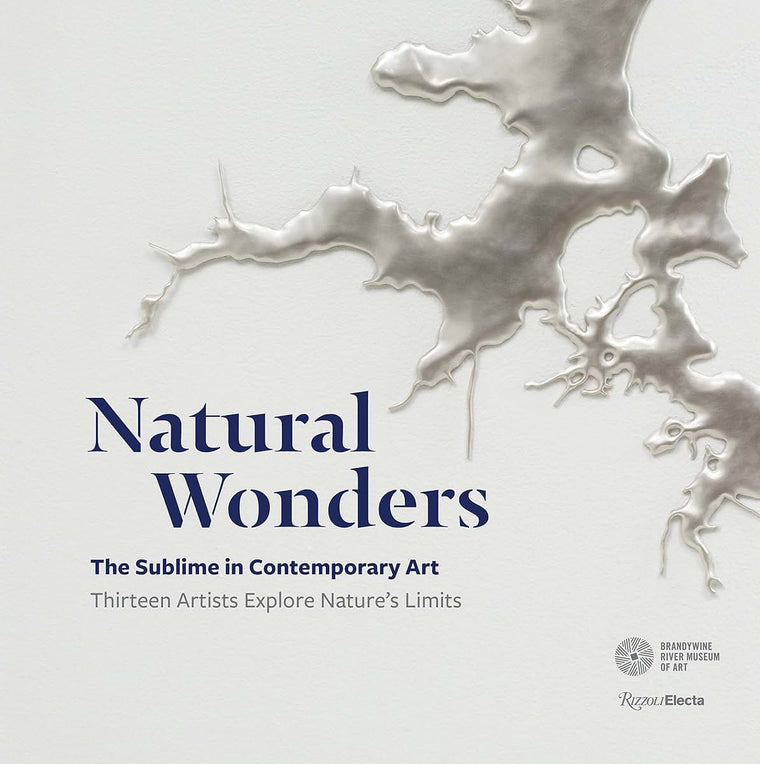 Natural Wonders: The Sublime in Contemporary Art: Thirteen Artists Explore Nature's Limits