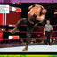 WWE Superstar Handbook: The Essential Facts and Stats on More than 300 WWE Superstars!