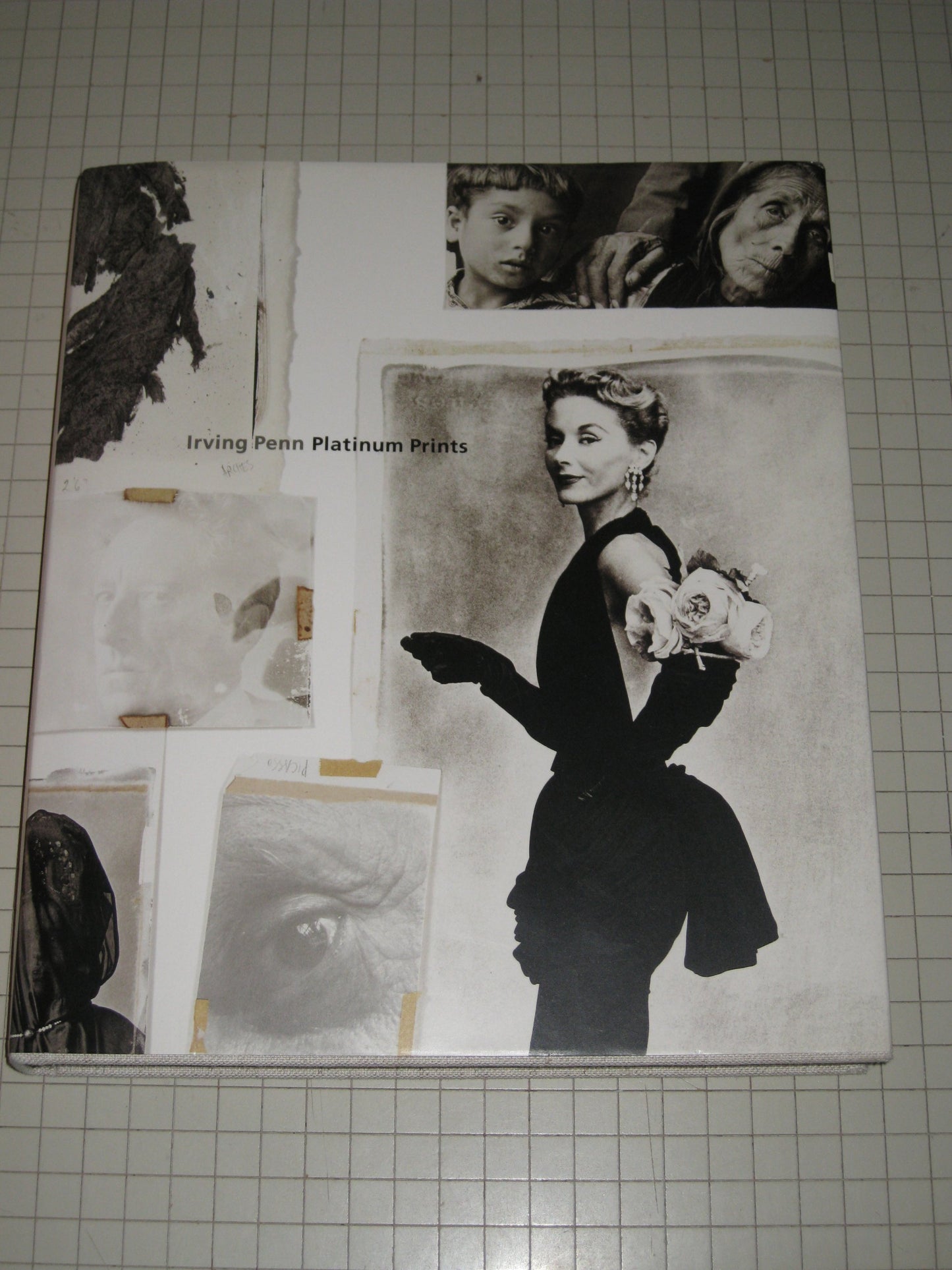 Irving Penn: Platinum Prints by Greenough, Sarah