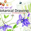 The Art of Botanical Drawing: An Introductory Guide