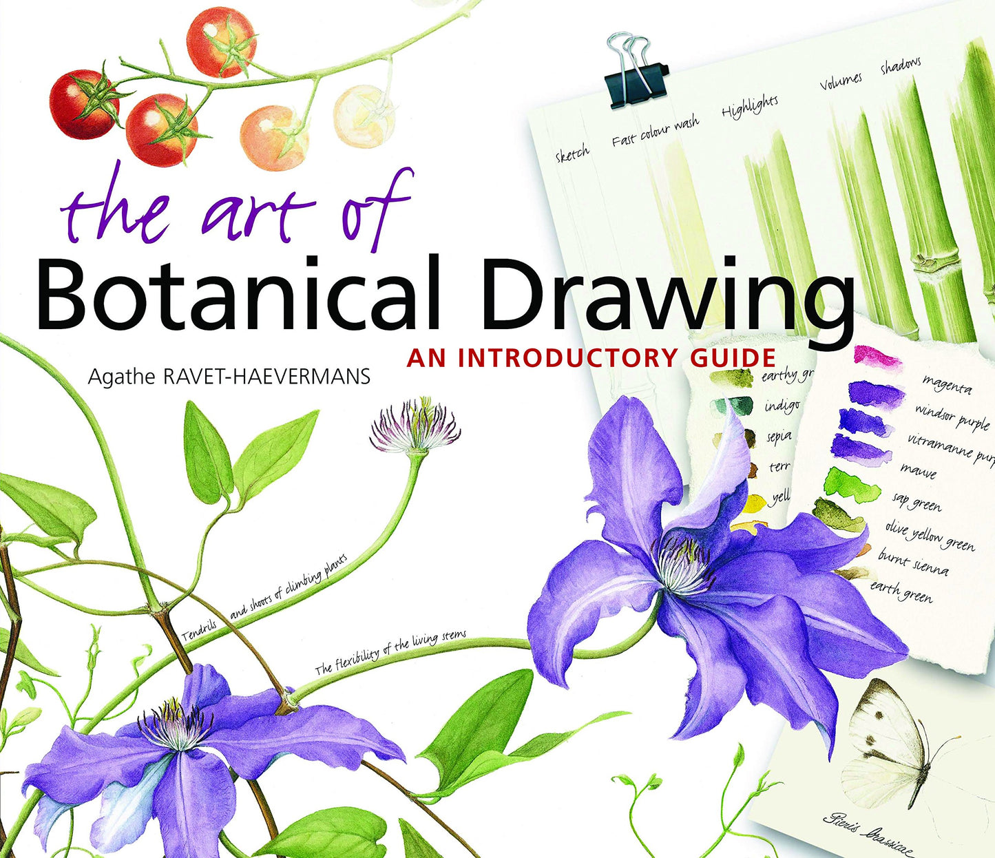 The Art of Botanical Drawing: An Introductory Guide