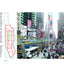 Ecological Urbanism