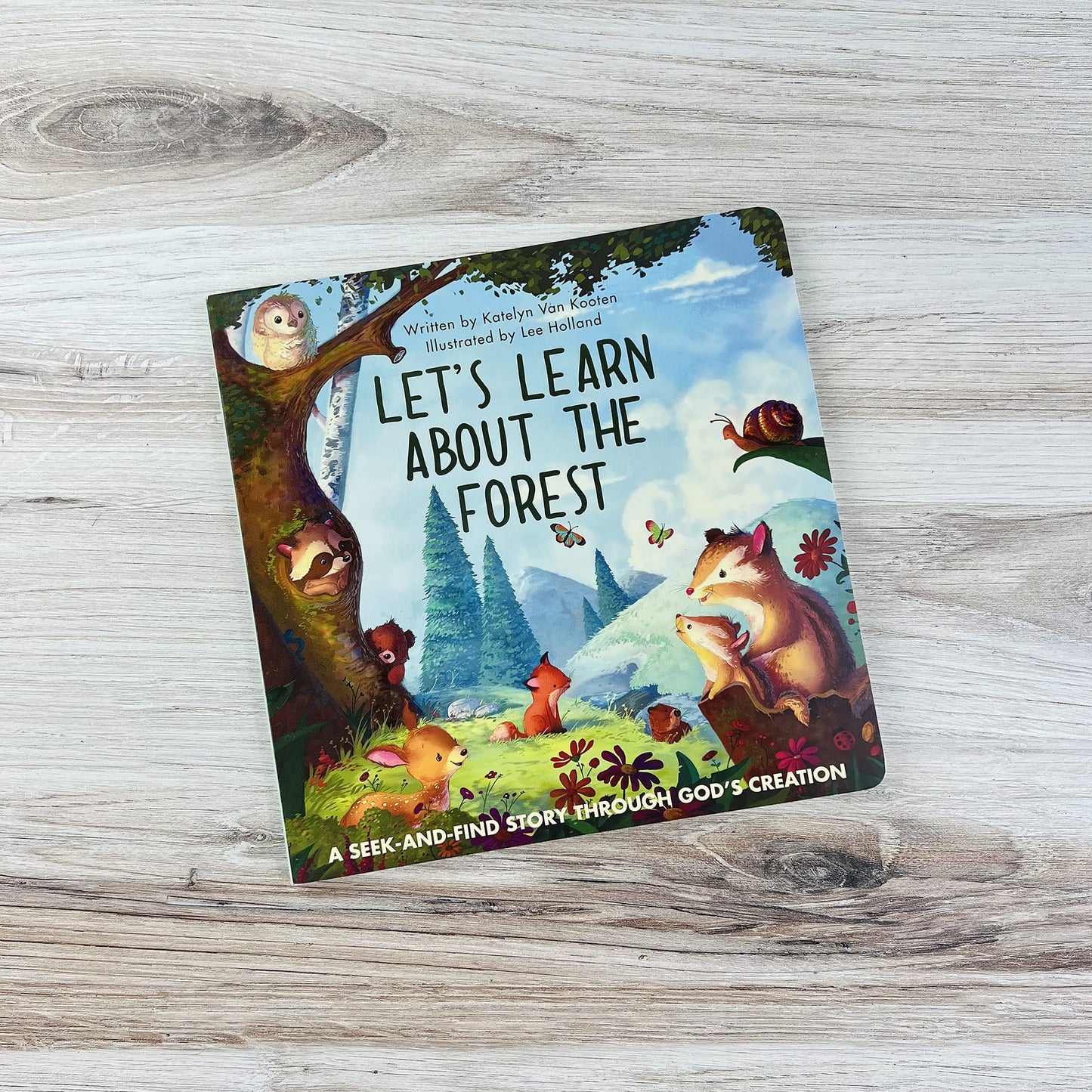 Lets Learn About the Forest: A Seek-and-Find Story Through Gods Creation