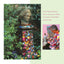 Welcome Home Kaffe Fassett, New Edition (Landauer) Enter the Studio of One of the World's Leading Fabric & Quilt Designers; Learn to Combine Rich Colors & Textures; Includes 9 Step-by-Step Projects