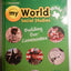 Texas myWorld Social Studies: Building Our Communities