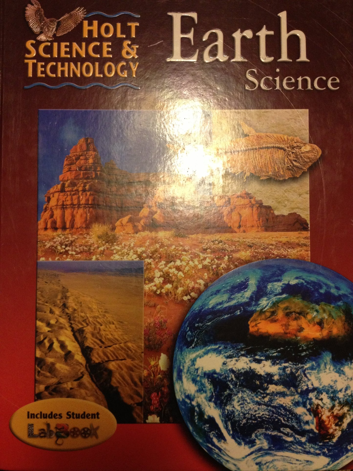 Holt Science & Technology: Student Edition Earth Science 2001