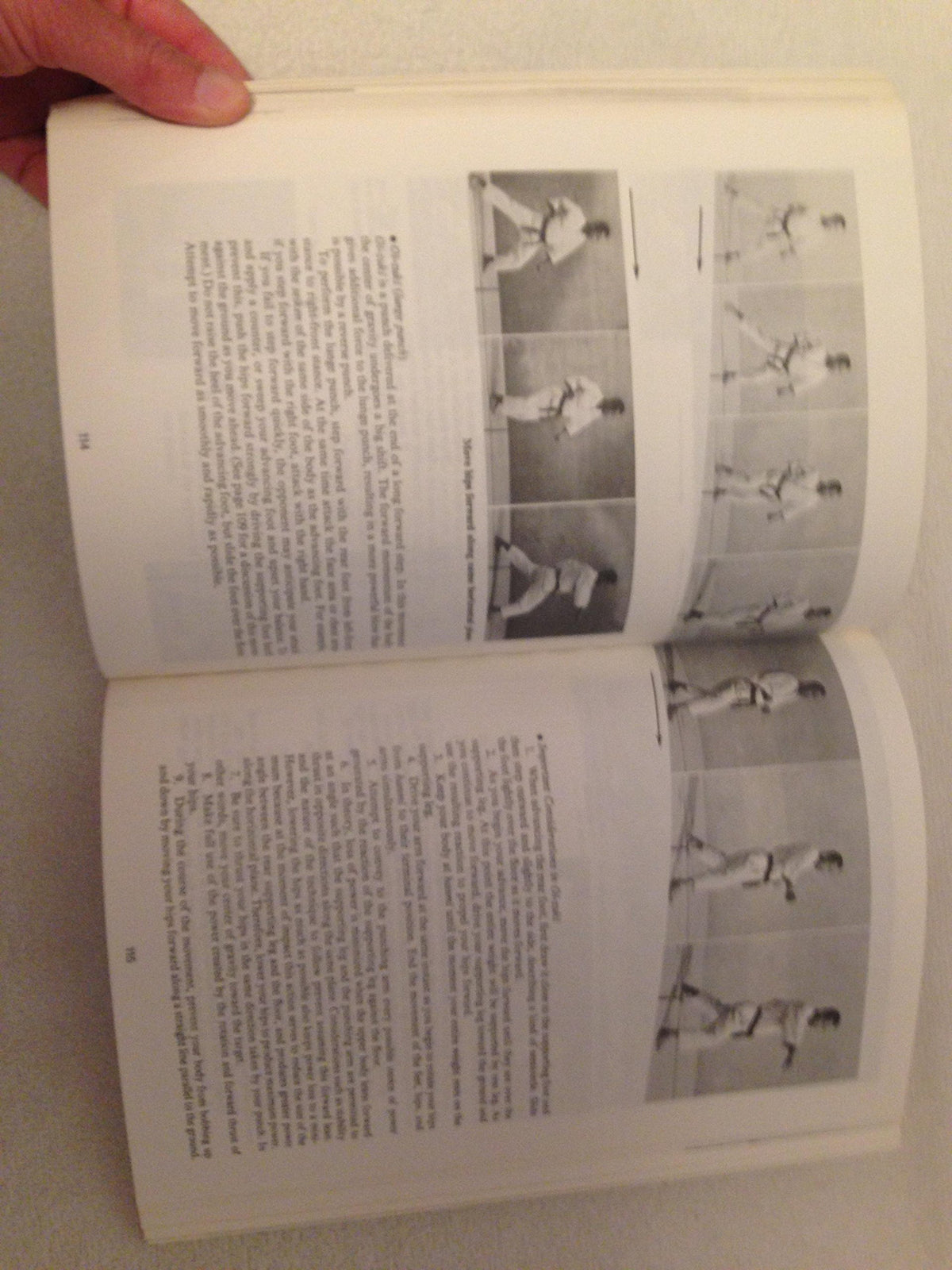 Dynamic Karate: Instruction by the Master (Bushido- The Way of the Warrior)