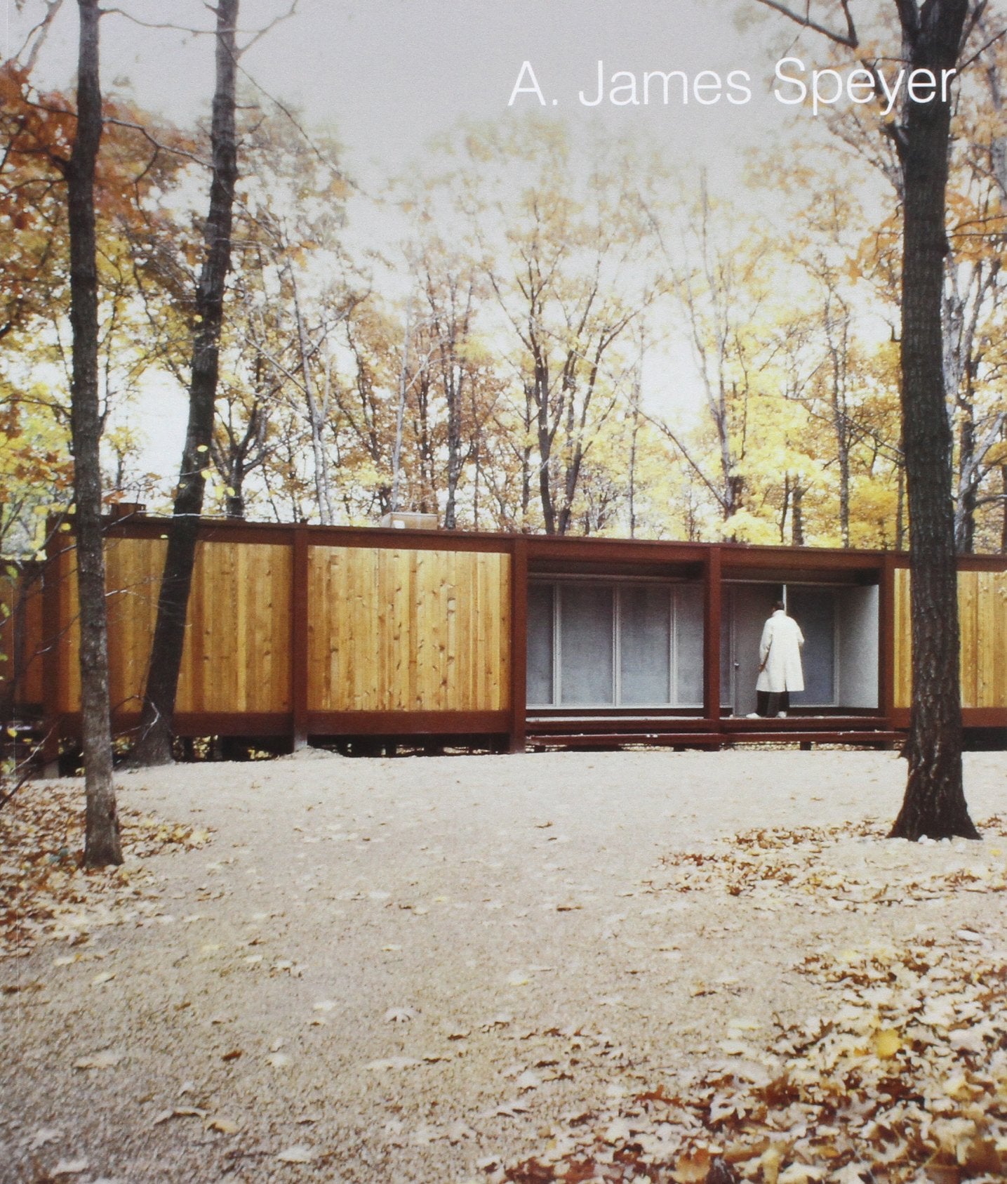 A. James Speyer: Architect, Curator, Exhibition Designer