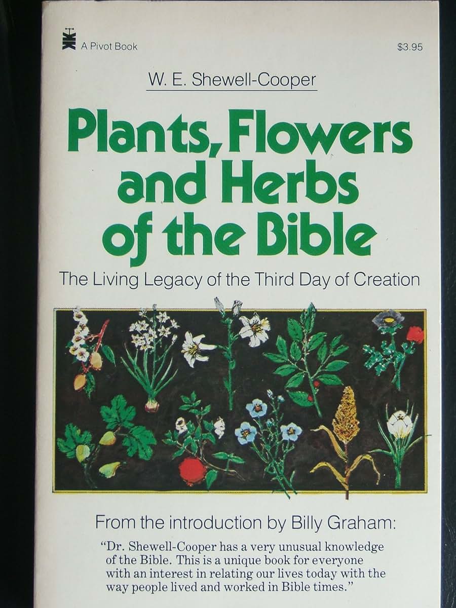 Plants, Flowers, and Herbs of the Bible: The Living Legacy of the Third Day of Creation