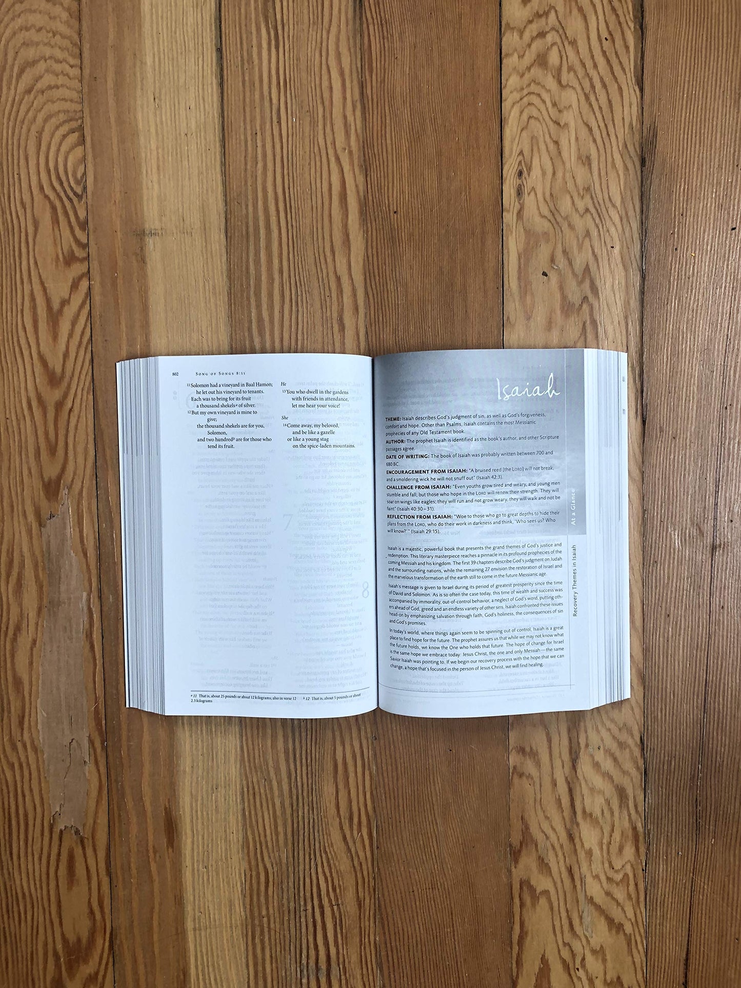 NIV, Celebrate Recovery Study Bible by Zondervan