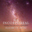 The Incorporeal: Ontology, Ethics, and the Limits of Materialism