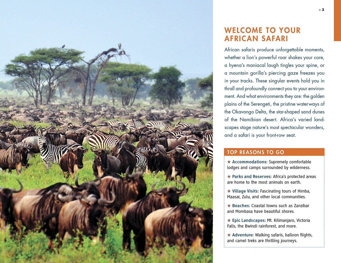 Fodor's the Complete Guide to African Safaris: with South Africa, Kenya, Tanzania, Botswana, Namibia, & Rwanda (Full-color Travel Guide)