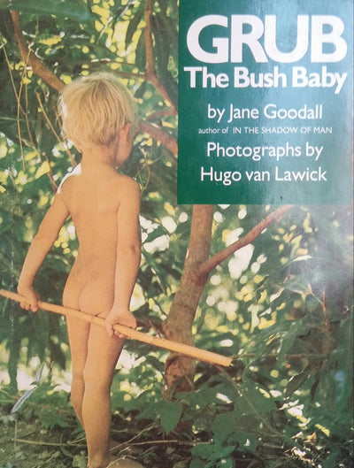 Grub, the Bush Baby