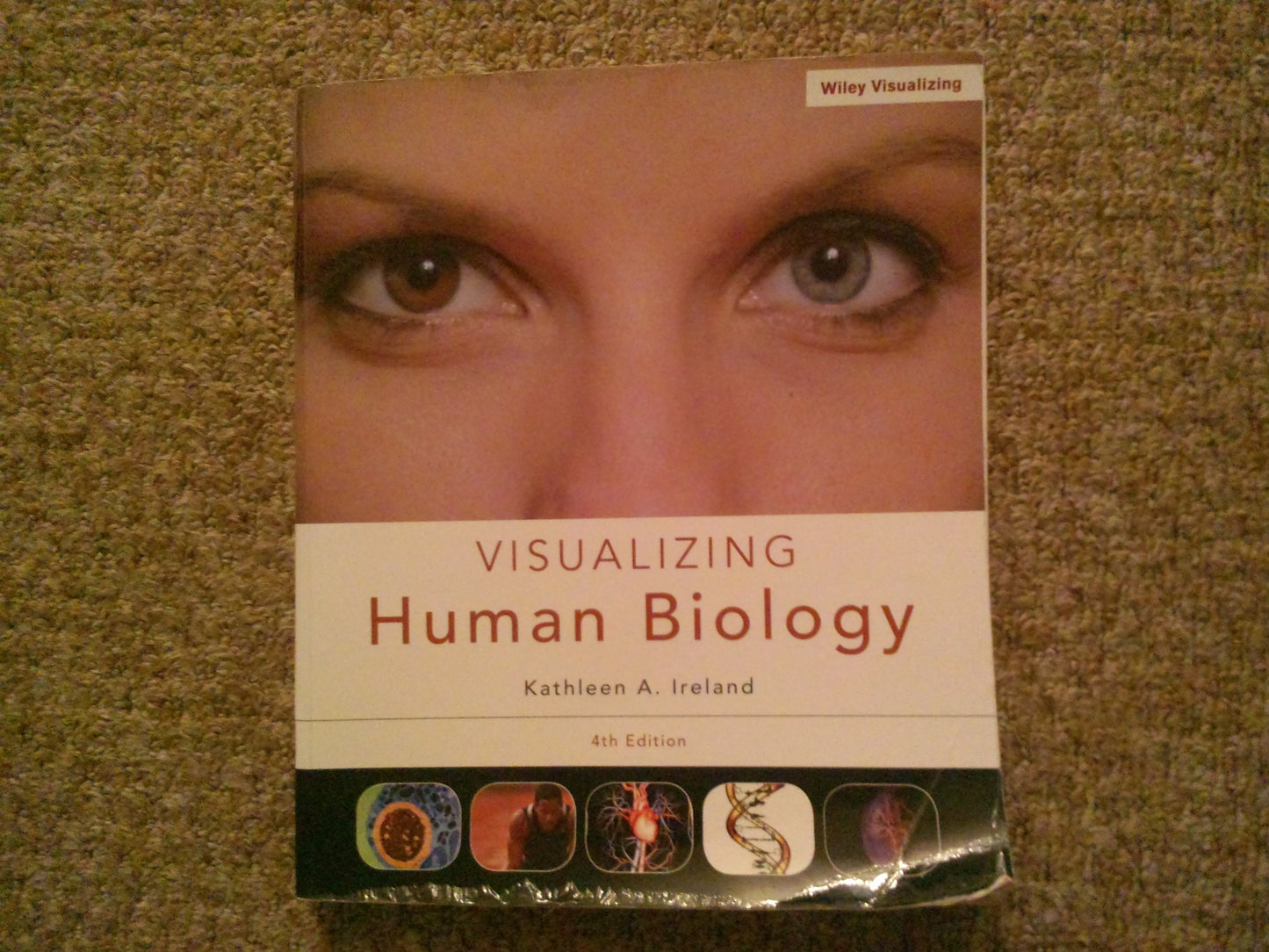 Visualizing Human Biology, 4th Edition