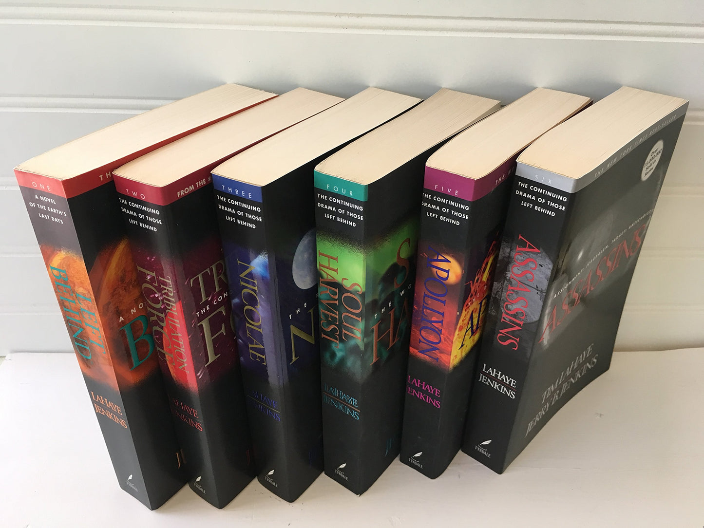 Left Behind Books 1-6 Boxed Set (Softcover) by Miakarts Books