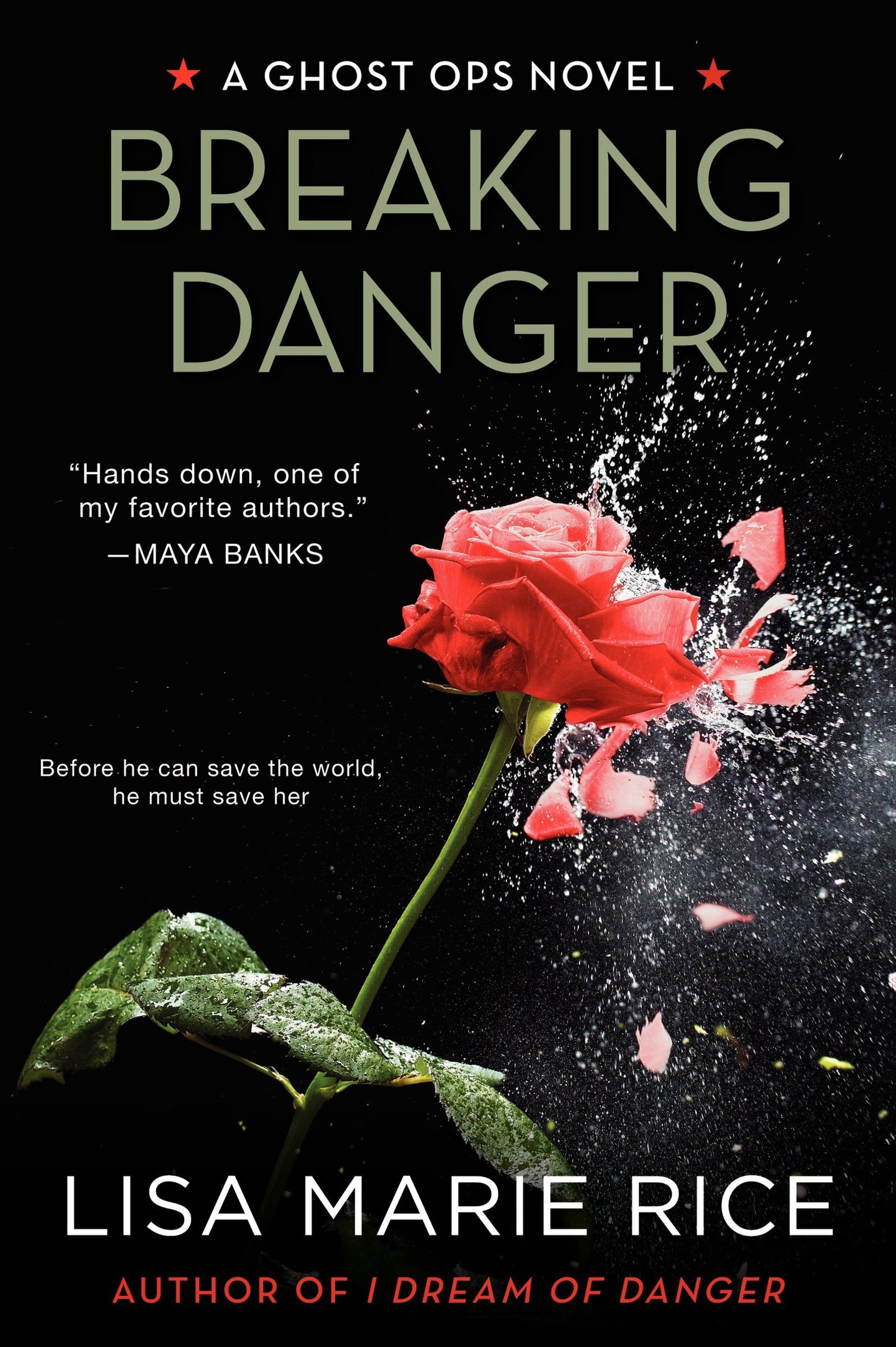 Breaking Danger: A Ghost Ops Novel (Ghost Ops, 3)