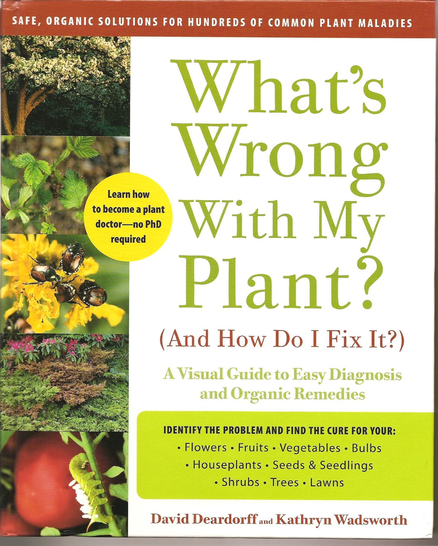 What's Wrong With My Plant? (And How Do I Fix It?)