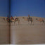 This is Namibia
