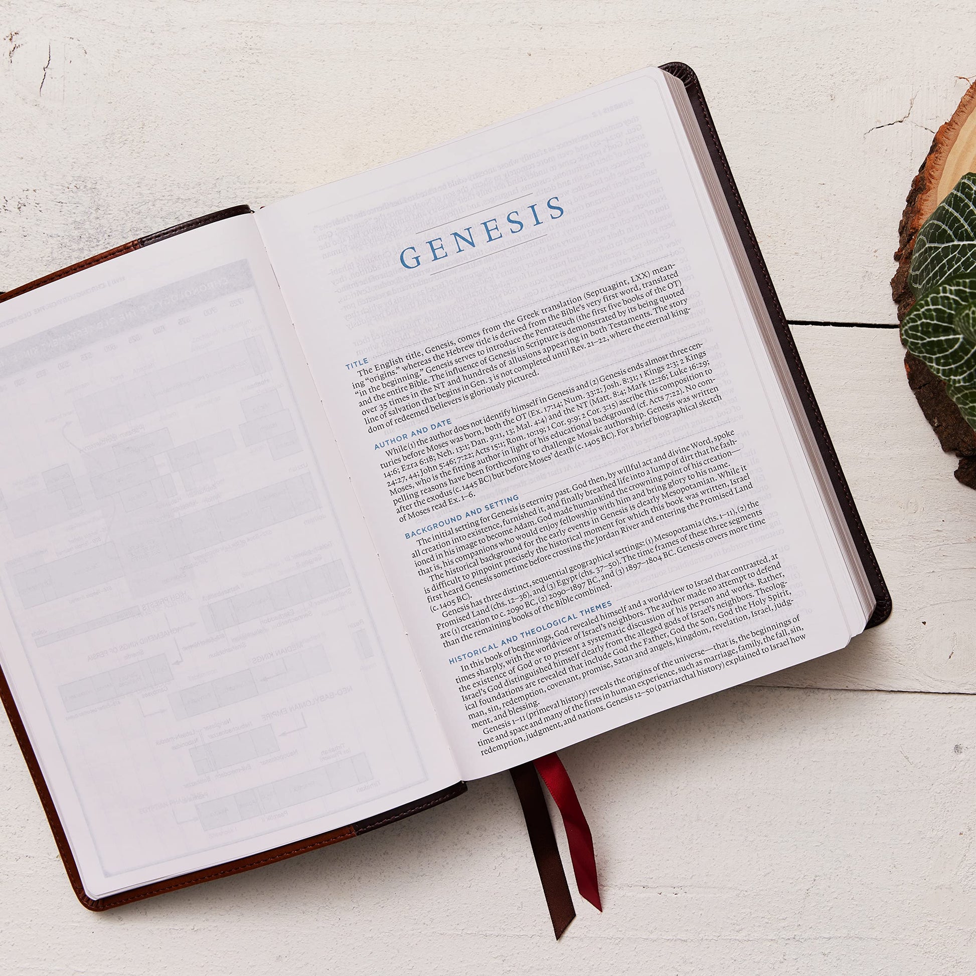 ESV, MacArthur Study Bible, Black Genuine Leather, Thumb Indexed: Unleashing God's Truth One Verse at a Time (Holy Bible, English Standard Version)